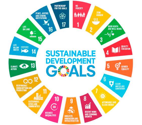 ODS SDG PYMES